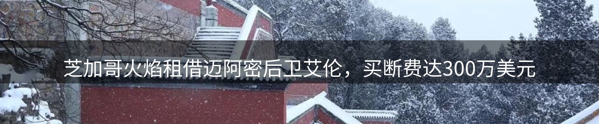 新闻概览
